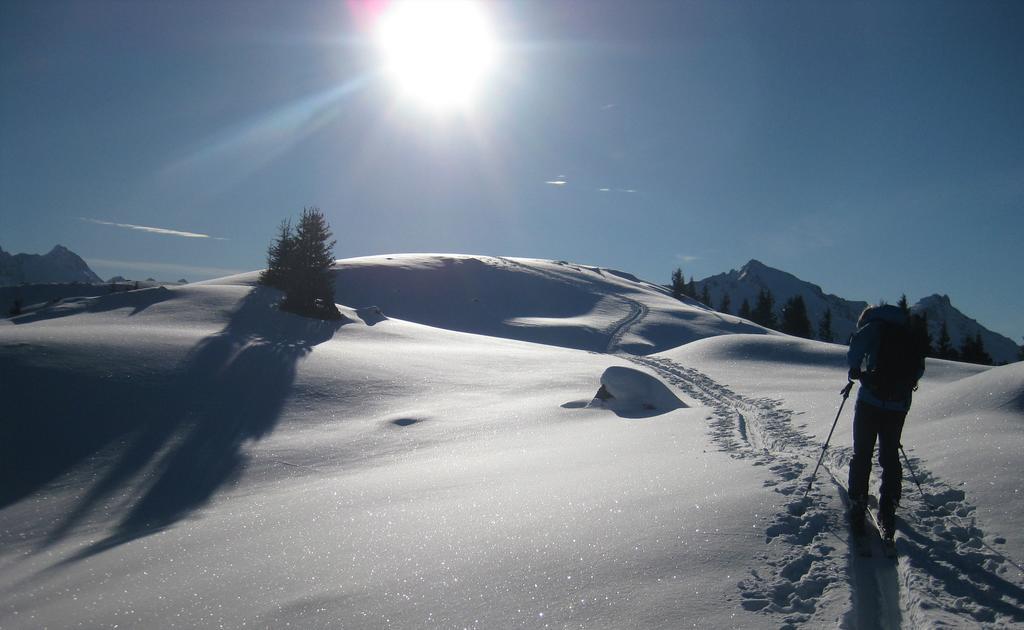 Pension Steiermark Schladming Εξωτερικό φωτογραφία